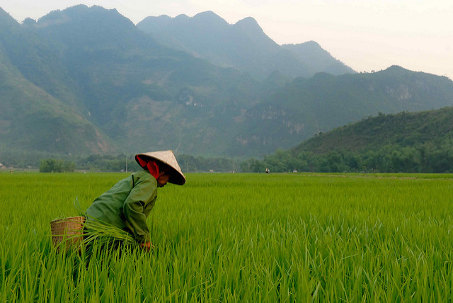 vietnam